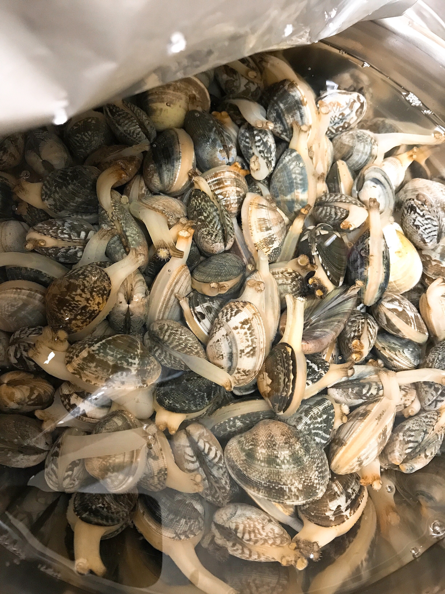 基本 潮干狩りで採った貝の砂抜き方法 レシピ 作り方 By うめーば 楽天レシピ 基本 潮干狩りで採った貝の砂抜き方法 レシピ 作り方 By うめーば 楽天レシピ