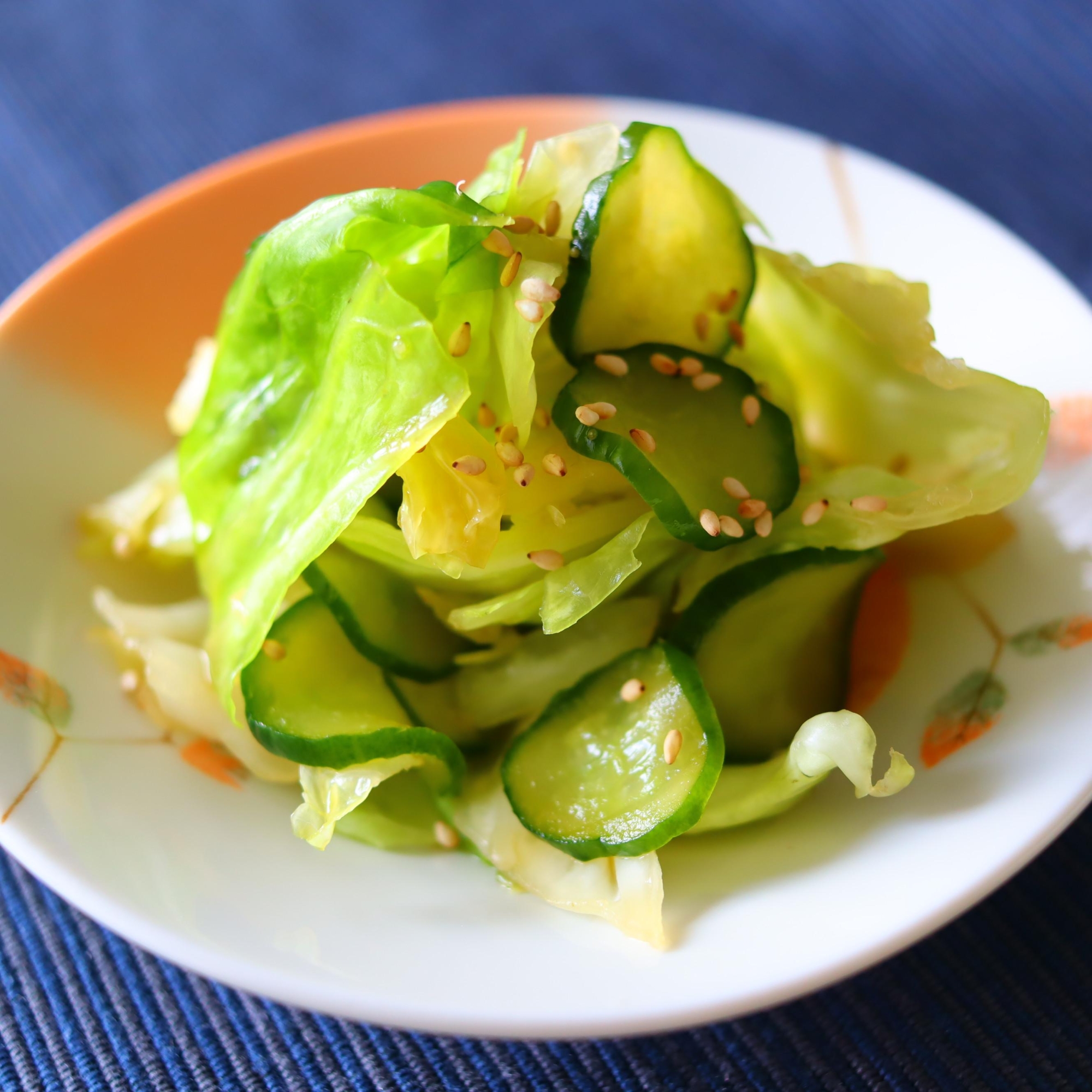 残り野菜を食べきり！キャベツと胡瓜の簡単浅漬け