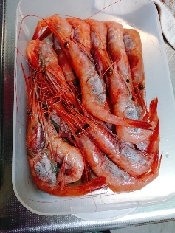 甘エビの塩ゆで レシピ 作り方 By じゃが塩 楽天レシピ 甘エビの塩ゆで レシピ 作り方 By じゃが塩 楽天レシピ