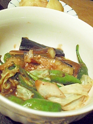 野菜のトウチジャン炒め