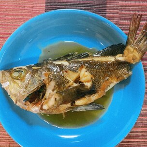 タケノコメバルの刺身 湯引き レシピ 作り方 By かねこども 楽天レシピ タケノコメバルの刺身 湯引き レシピ 作り方 By かねこども 楽天レシピ