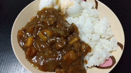 好きなものトッピングしてカレー