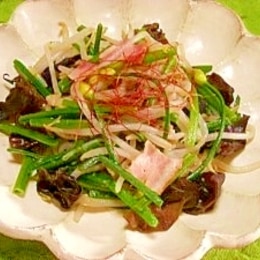 花ニラ又は葉ニラレシピ 作り方の人気順 簡単料理の楽天レシピ 花ニラ又は葉ニラレシピ 作り方の人気順 簡単料理の楽天レシピ