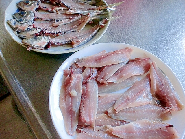 じぇ じぇ 簡単目からうろこのアジの3枚おろし レシピ 作り方 By Hiromu 楽天レシピ じぇ じぇ 簡単目からうろこのアジの3枚おろし レシピ 作り方 By Hiromu 楽天レシピ