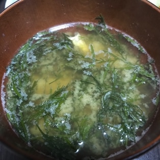 アカモク ギバサ の味噌汁 レシピ 作り方 By もちゃ子 楽天レシピ アカモク ギバサ の味噌汁 レシピ 作り方 By もちゃ子 楽天レシピ