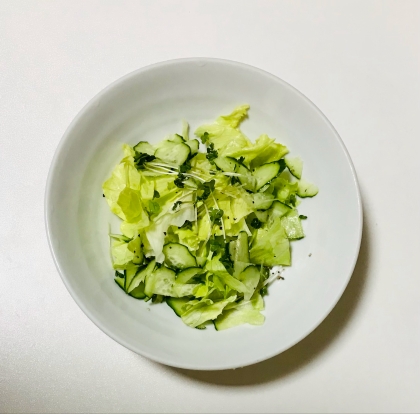 生野菜のレモンドレッシング