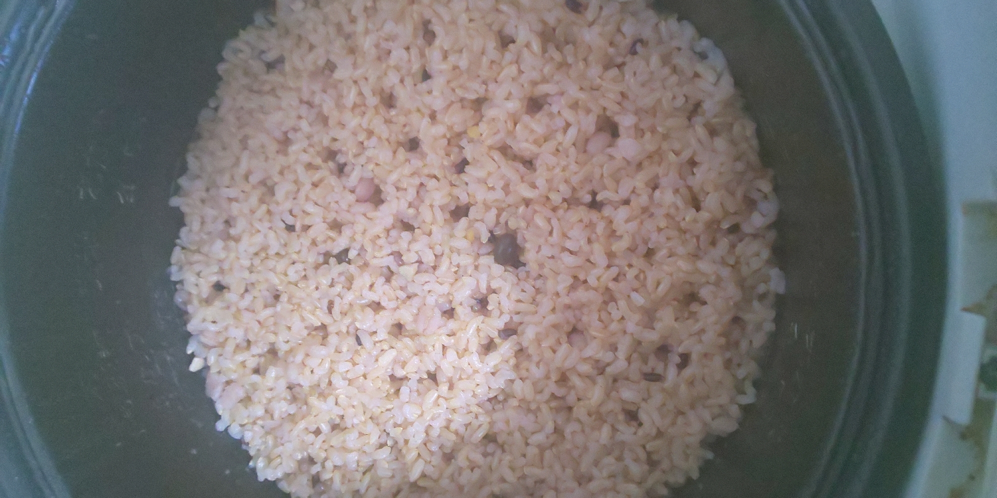 普通炊きで玄米！！