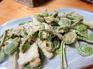 ウドとぜんまいの天ぷら レシピ 作り方 By Skip Right 楽天レシピ ウドとぜんまいの天ぷら レシピ 作り方 By Skip Right 楽天レシピ