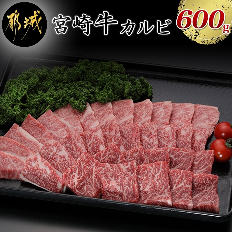 都城産宮崎牛カルビ焼肉