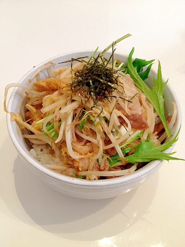 シャキシャキ野菜と豚肉の甘辛丼