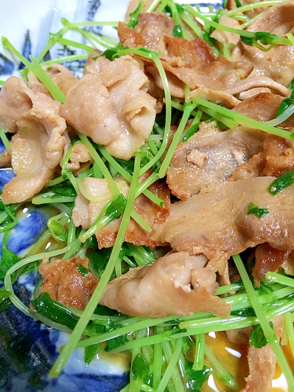 豆苗と豚肉の焼肉のタレ炒め