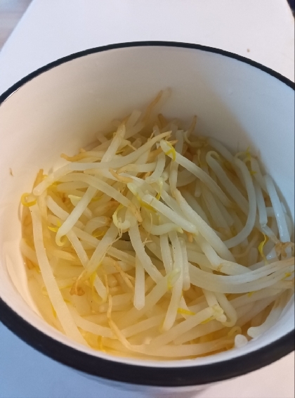 本当に美味しい我が家の定番！〜簡単もやし炒め〜