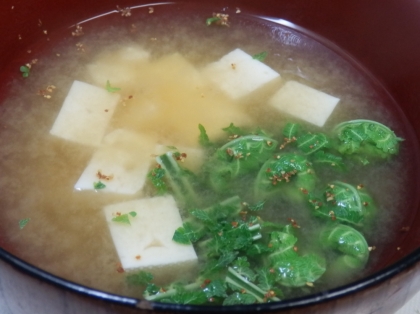 七味たっぷり山菜の味噌汁