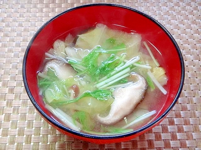 春キャベツと椎茸水菜の味噌汁
