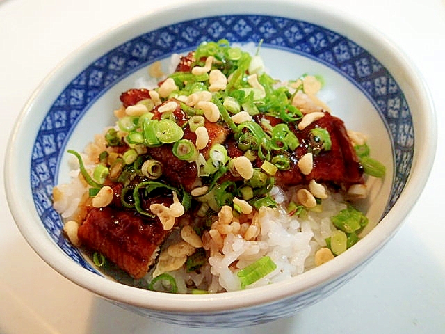 天かすサクサク　葱うなぎ丼