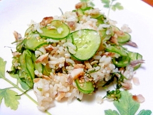 あじときゅうりの混ぜご飯 レシピ 作り方 By Hayasasa 楽天レシピ あじときゅうりの混ぜご飯 レシピ 作り方 By Hayasasa 楽天レシピ