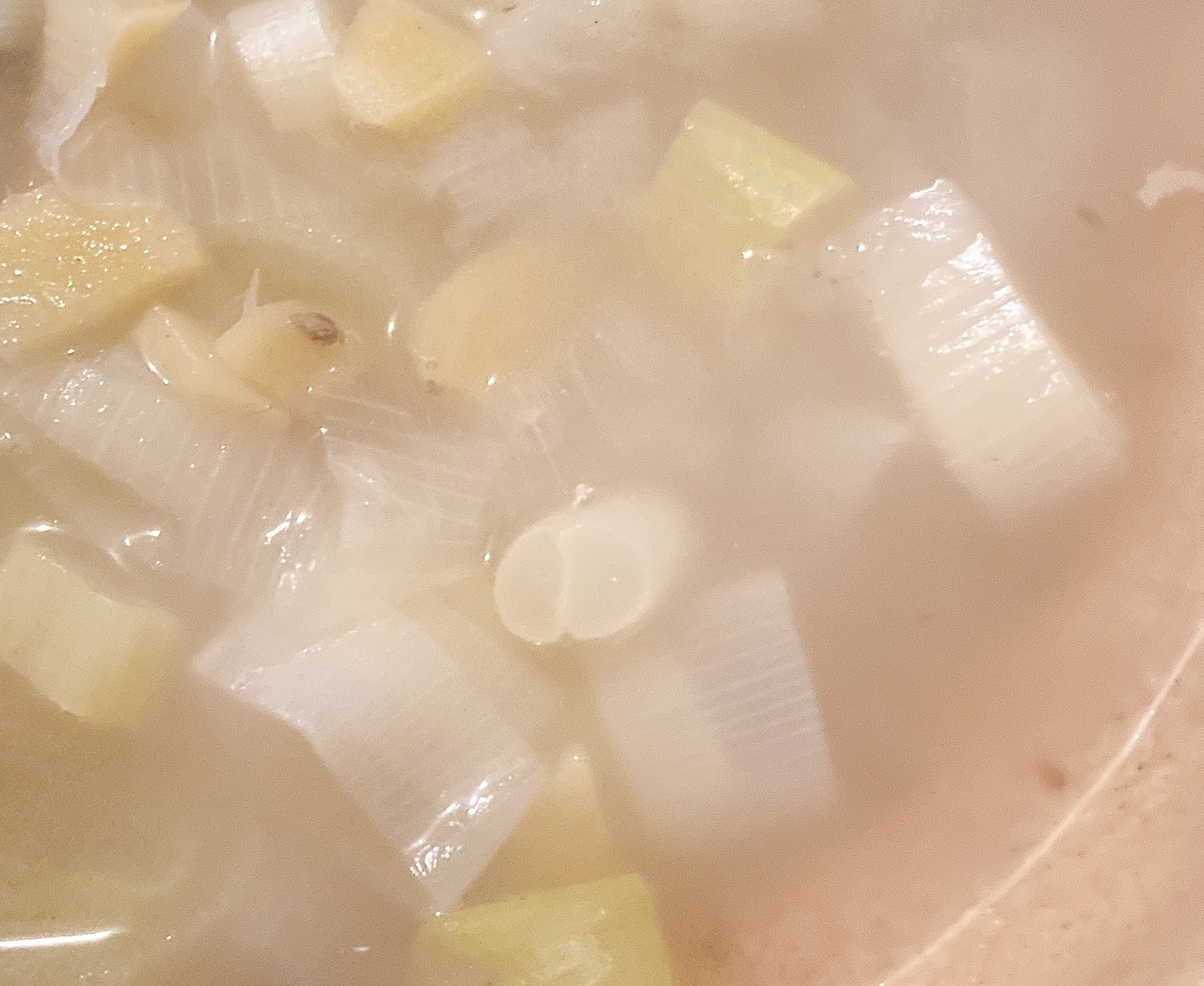 生姜とネギの中華スープ