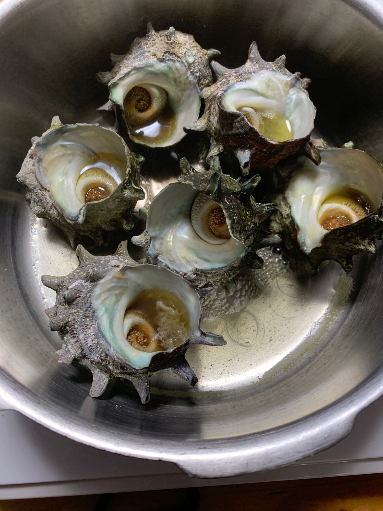 簡単に身が取れる方法 サザエの蒸し煮 レシピ 作り方 By けけり 楽天レシピ 簡単に身が取れる方法 サザエの蒸し煮 レシピ 作り方 By けけり 楽天レシピ