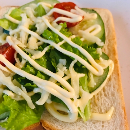 野菜の食感が美味しかったです( ◠‿◠ )