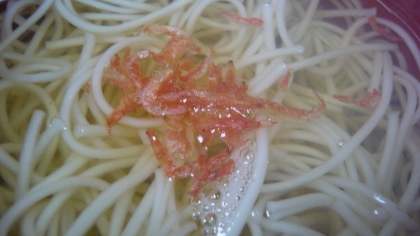 桜えびのにゅうめん