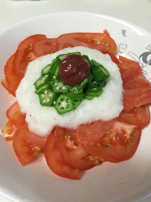 夏野菜色どりそうめん