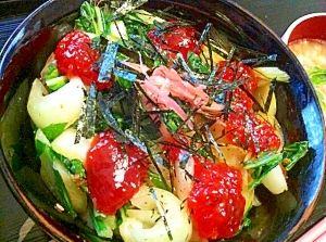 筋子と杓子菜の旨味じゅわじゅわ酢飯丼