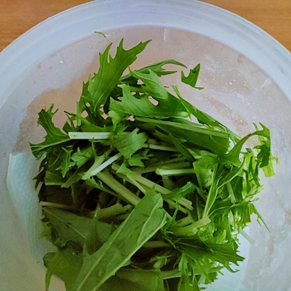 水菜の新鮮保存方法 (冷蔵)