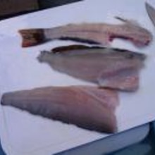 アイナメの刺身 レシピ 作り方 By チョコのr 楽天レシピ アイナメの刺身 レシピ 作り方 By チョコのr 楽天レシピ