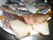 釣った魚 ベラ うみたなご等の煮付け レシピ 作り方 By なっちゃん6504 楽天レシピ 釣った魚 ベラ うみたなご等の煮付け レシピ 作り方 By なっちゃん6504 楽天レシピ