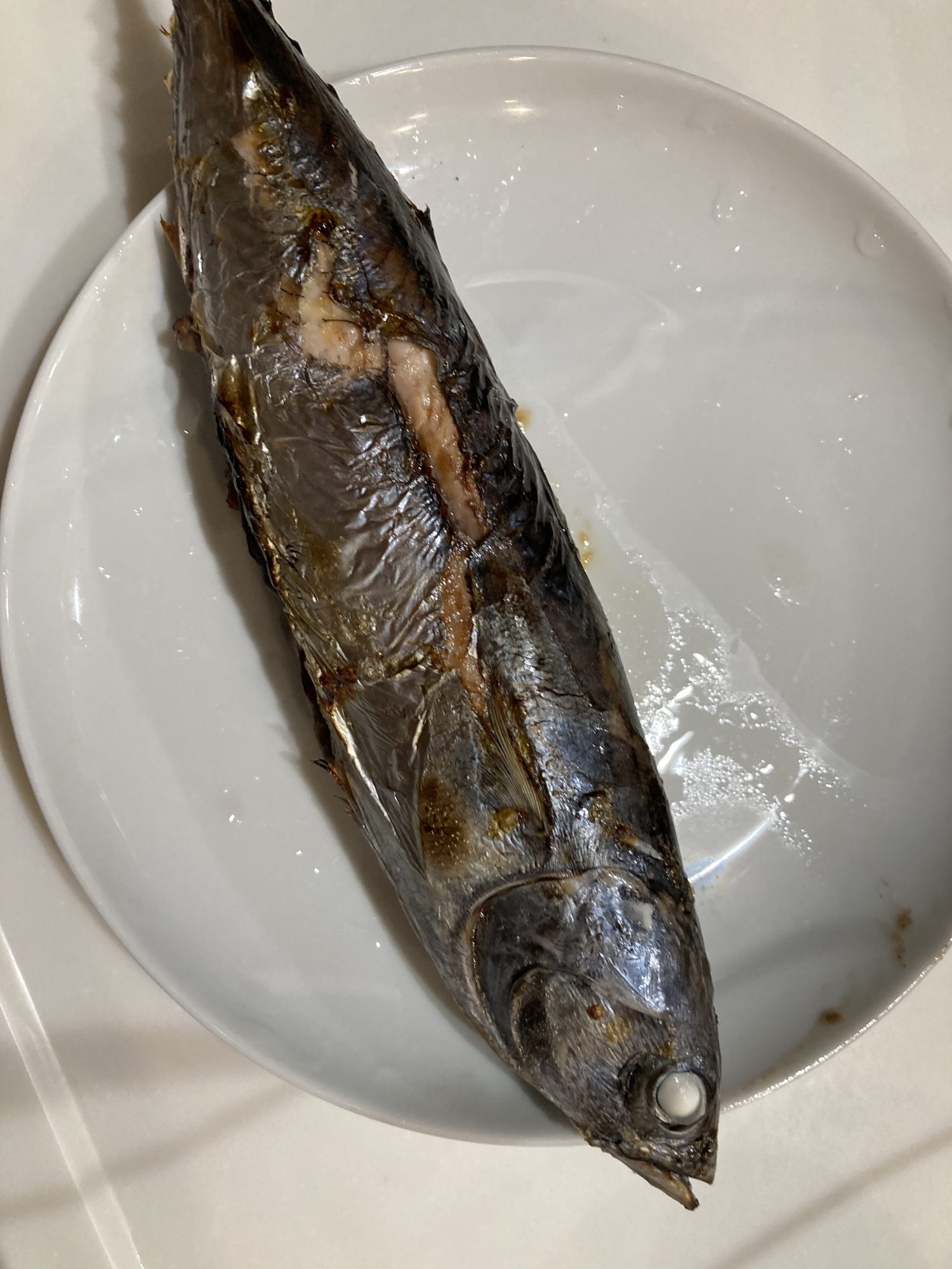 新鮮めじかつおの塩焼き レシピ 作り方 By へんてこへんてこママ 楽天レシピ