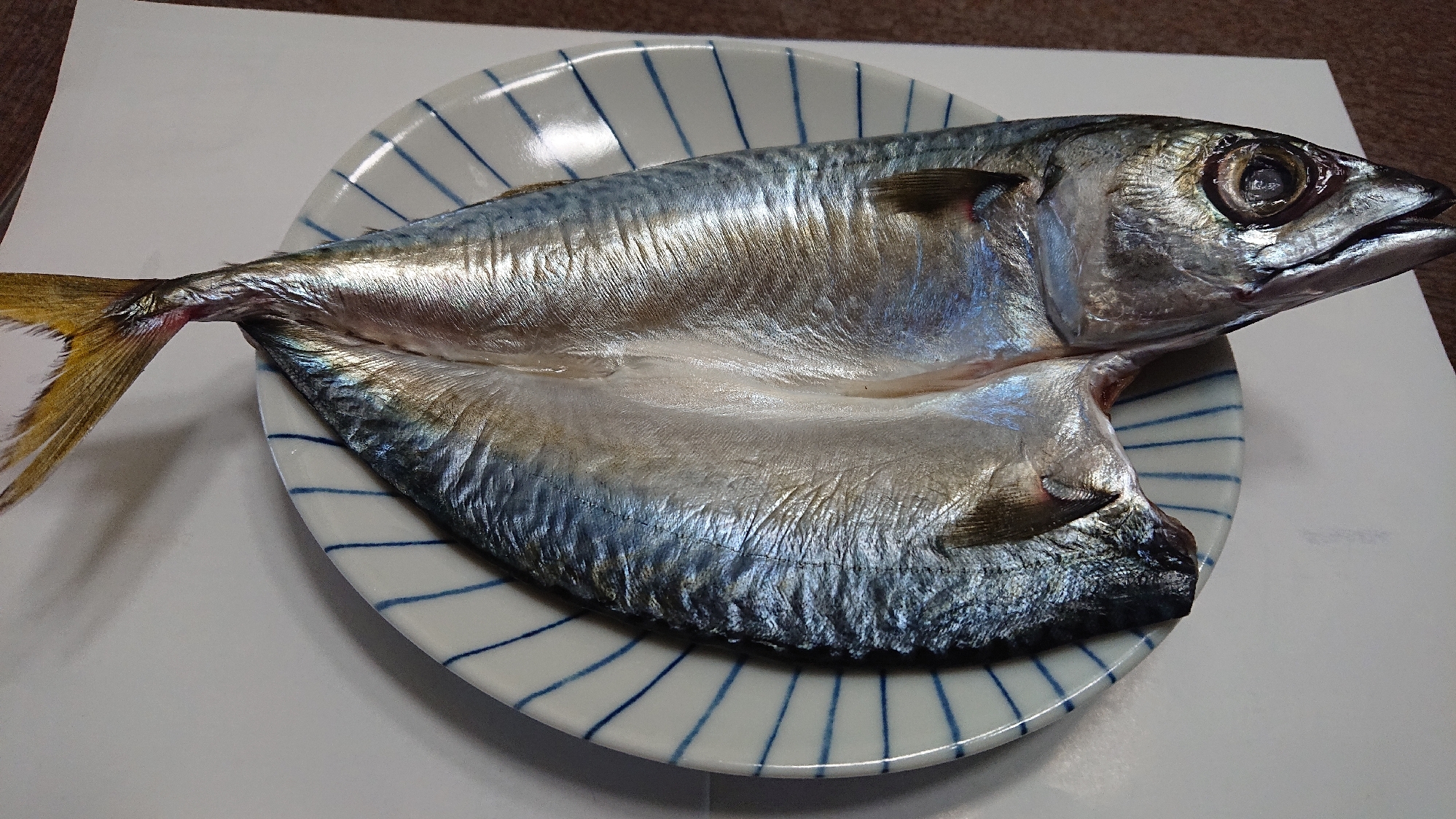 小鯖の一夜干し レシピ 作り方 By Wataばあば 楽天レシピ 小鯖の一夜干し レシピ 作り方 By Wataばあば 楽天レシピ