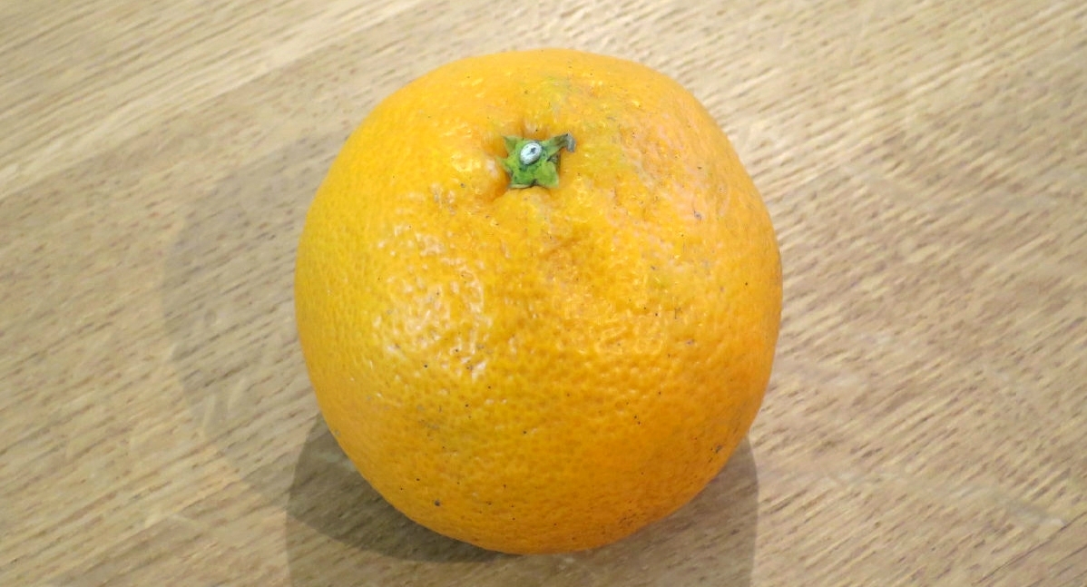 冬の定番 みかん でダイエット みかんダイエットのやり方は デイリシャス 楽天レシピ 冬の定番 みかん でダイエット みかんダイエットのやり方は デイリシャス 楽天レシピ