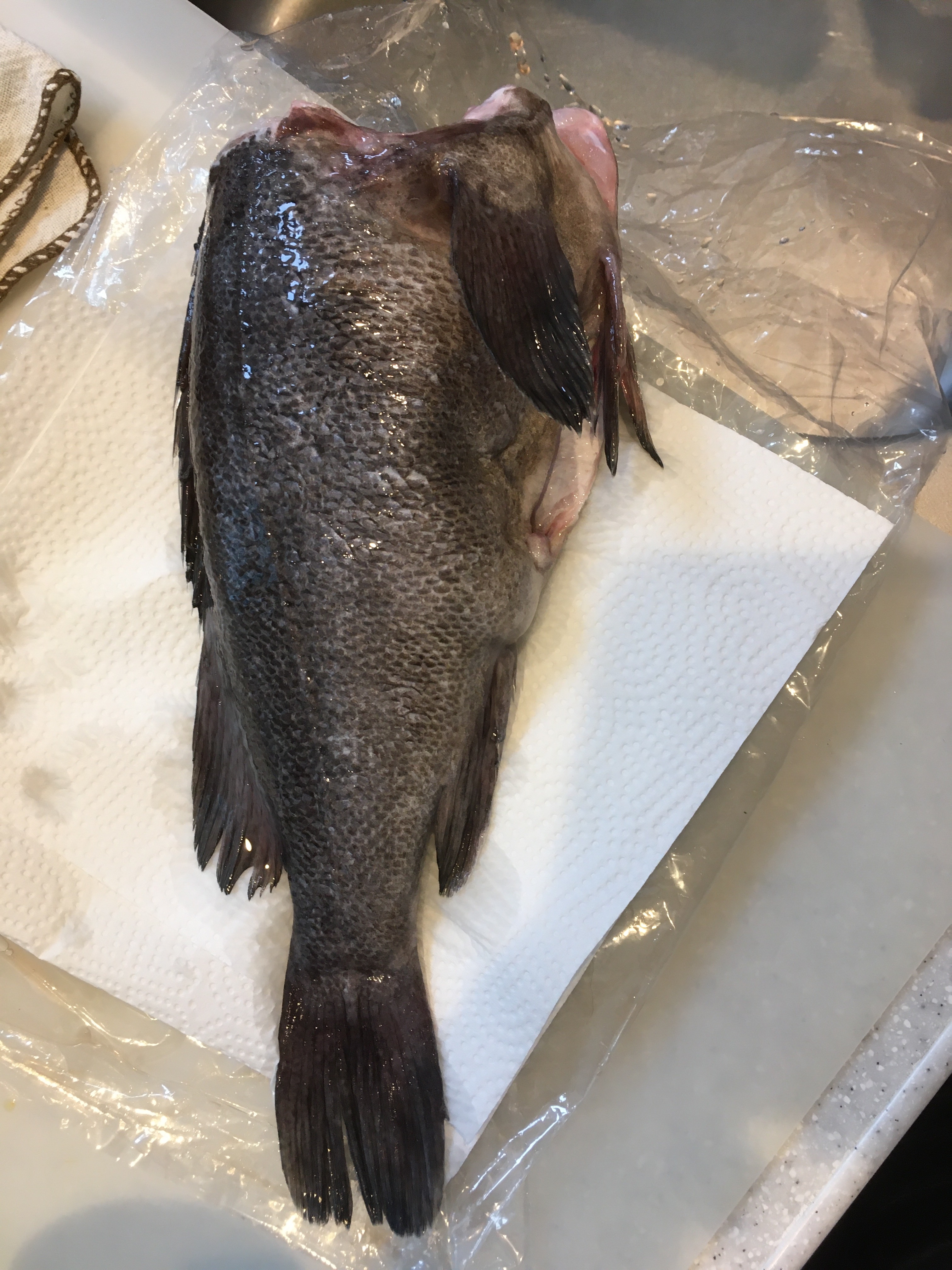 黒ソイの煮付け 魚の煮付け レシピ 作り方 By パンダコパンダママのレシピ 楽天レシピ 黒ソイの煮付け 魚の煮付け レシピ 作り方 By パンダコパンダママのレシピ 楽天レシピ