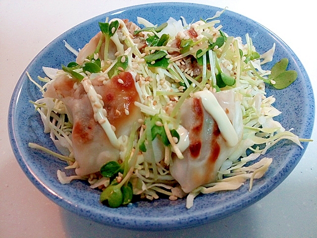 千切りキャベツと焼き餃子とかいわれ大根の和風サラダ