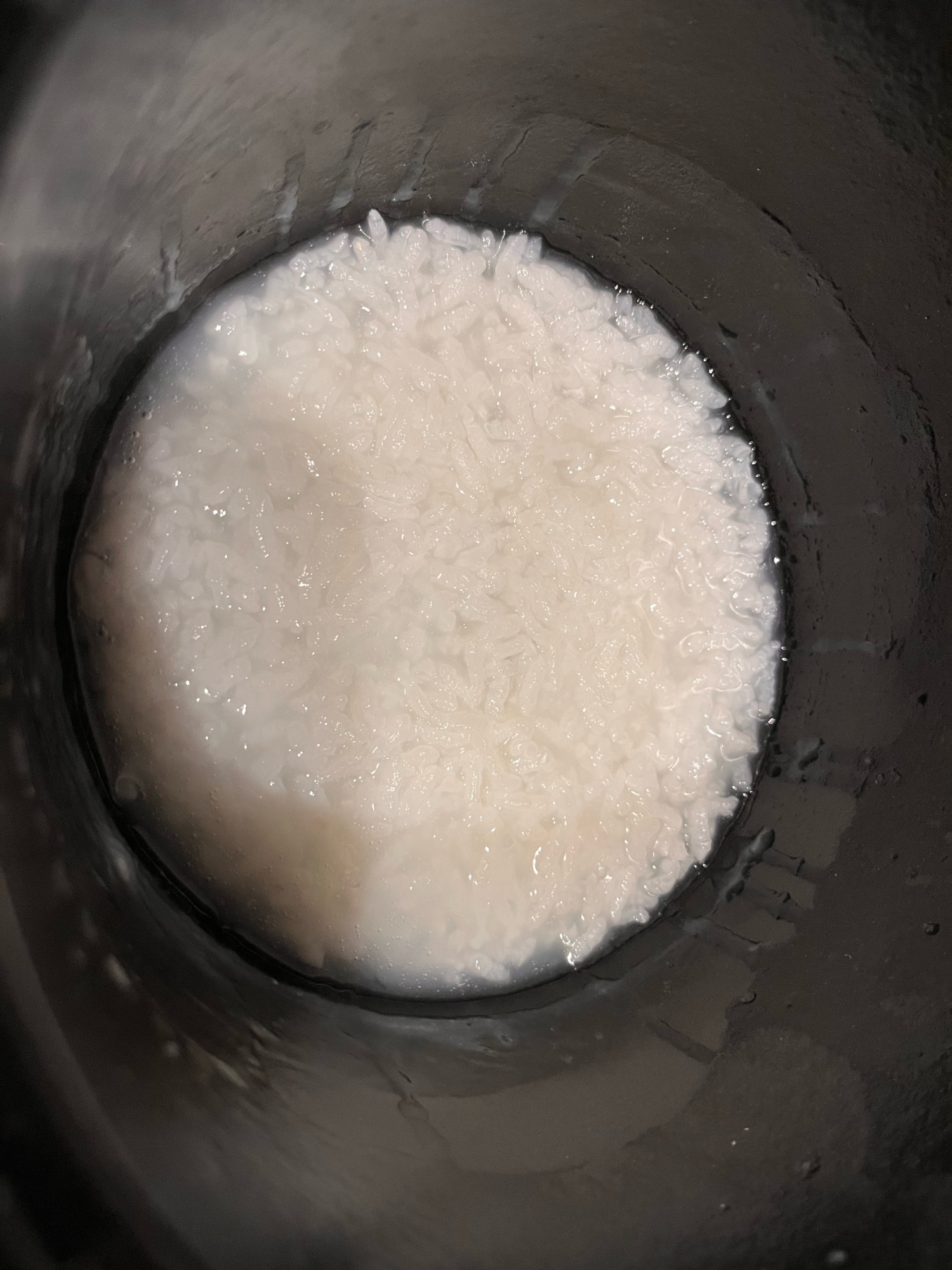 【離乳食5〜6ヶ月】ル・クルーゼ　無洗米10倍がゆ
