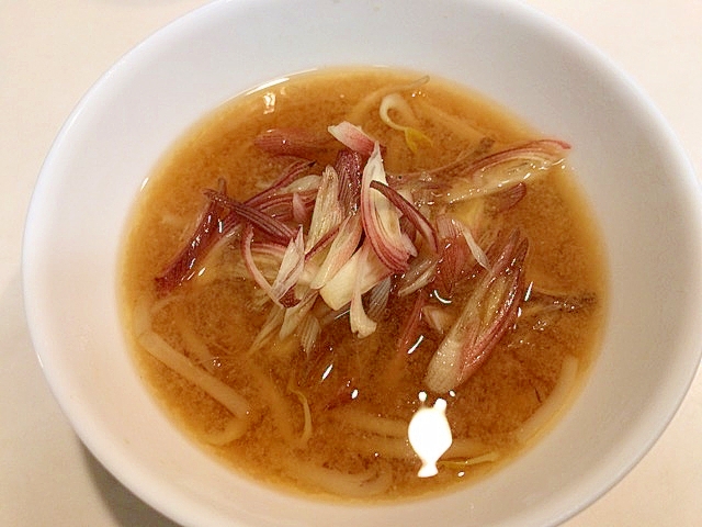 モヤシとみょうがの☆生姜たっぷり味噌汁