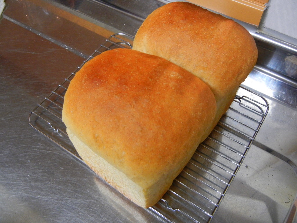 ノンバター　全粒粉食パン