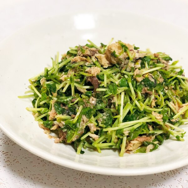 さば缶で豆苗の和え物 火も使わず簡単もう一品 レシピ 作り方 By Maro Mee 楽天レシピ さば缶で豆苗の和え物 火も使わず簡単もう一品 レシピ 作り方 By Maro Mee 楽天レシピ