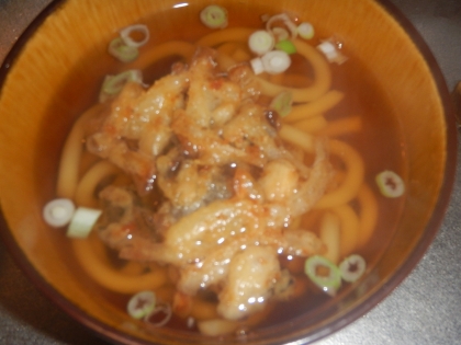 新玉ねぎかき揚げうどん～昆布のだしが効いてる～