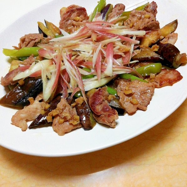 なすと万願寺とうがらしと豚肉の甘辛煮 レシピ 作り方 By イク9110 楽天レシピ なすと万願寺とうがらしと豚肉の甘辛煮 レシピ 作り方 By イク9110 楽天レシピ