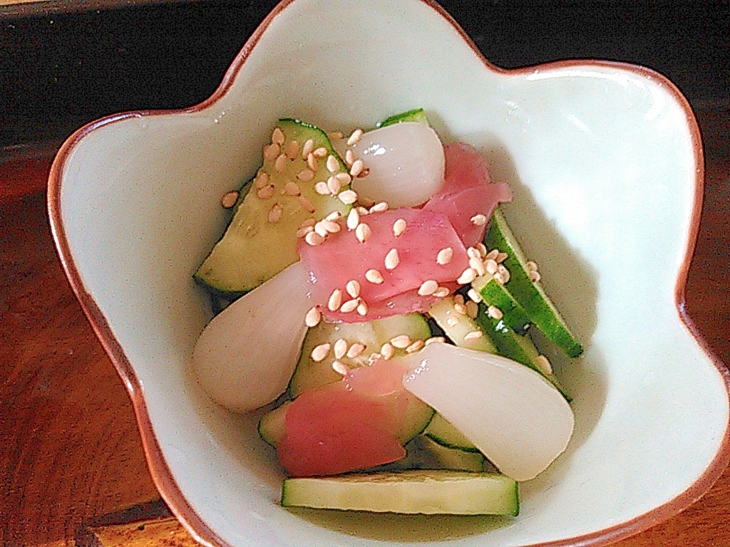 らっきょうキュウリ甘酢生姜の白ごまサラダ