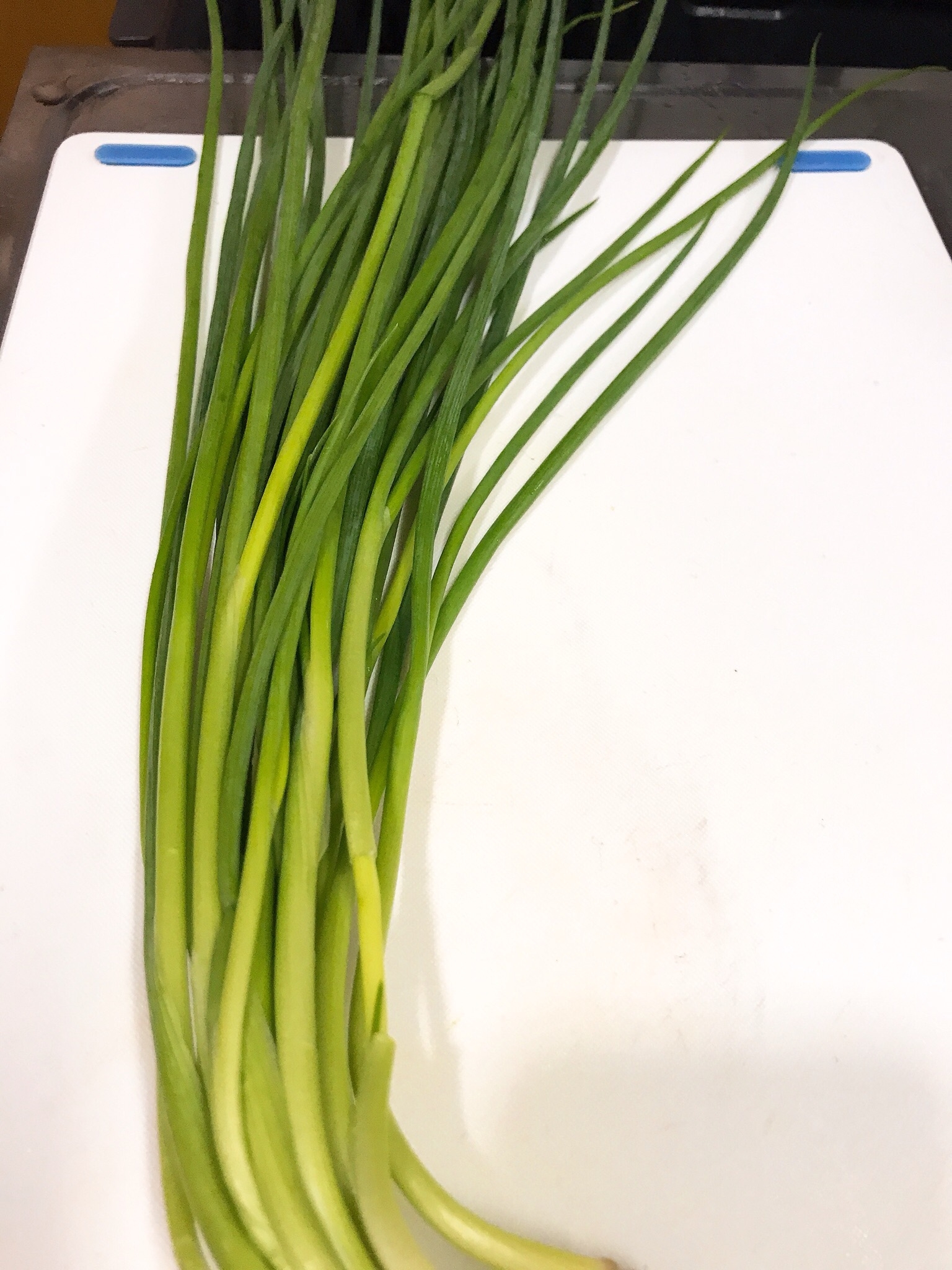 冷蔵庫で長持ち 小ねぎの保存方法 答えは逆さま レシピ 作り方 By ミートソース 楽天レシピ 冷蔵庫で長持ち 小ねぎの保存方法 答えは逆さま レシピ 作り方 By ミートソース 楽天レシピ