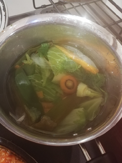 初めて作りました。
セロリの葉やキャベツの外葉、人参のヘタなんかを入れてみました。
野菜の旨味が凝縮されて離乳食のスープの味！ありがとうごました(˶･ᴗ･˶)