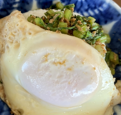 ガパオライス風♡鶏ひき肉と小松菜の丼ぶり