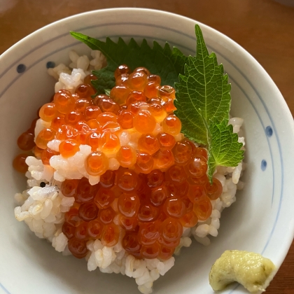 酢飯じゃない　いくら丼