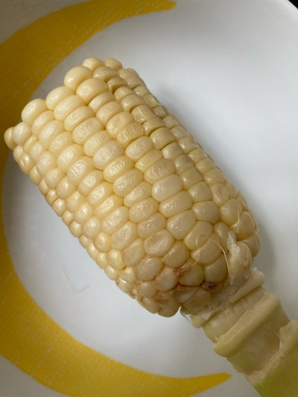 5分で簡単♪レンチンでふっくらとうもろこしの茹で方