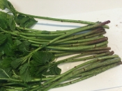 絶品山菜 アイコ ミヤマイラクサ のおひたし レシピ 作り方 By アボカドプリン 楽天レシピ 絶品山菜 アイコ ミヤマイラクサ のおひたし レシピ 作り方 By アボカドプリン 楽天レシピ