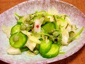 山菜ミズの実の浅漬け レシピ 作り方 By ブルーボリジ 楽天レシピ 山菜ミズの実の浅漬け レシピ 作り方 By ブルーボリジ 楽天レシピ