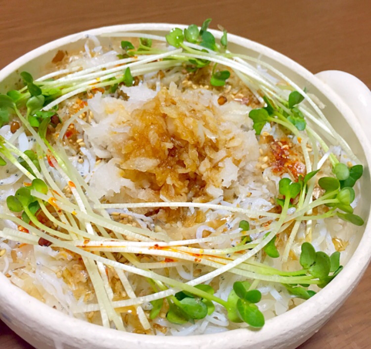 これはうますぎ‼︎しらす丼その2