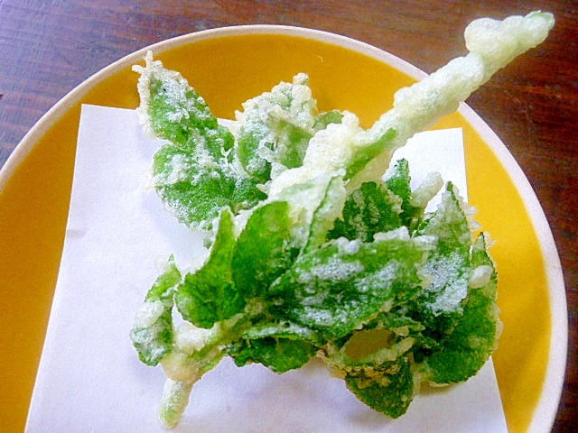 春のかおり 山うどの細い茎 葉の天ぷら レシピ 作り方 By 身の茸335 楽天レシピ